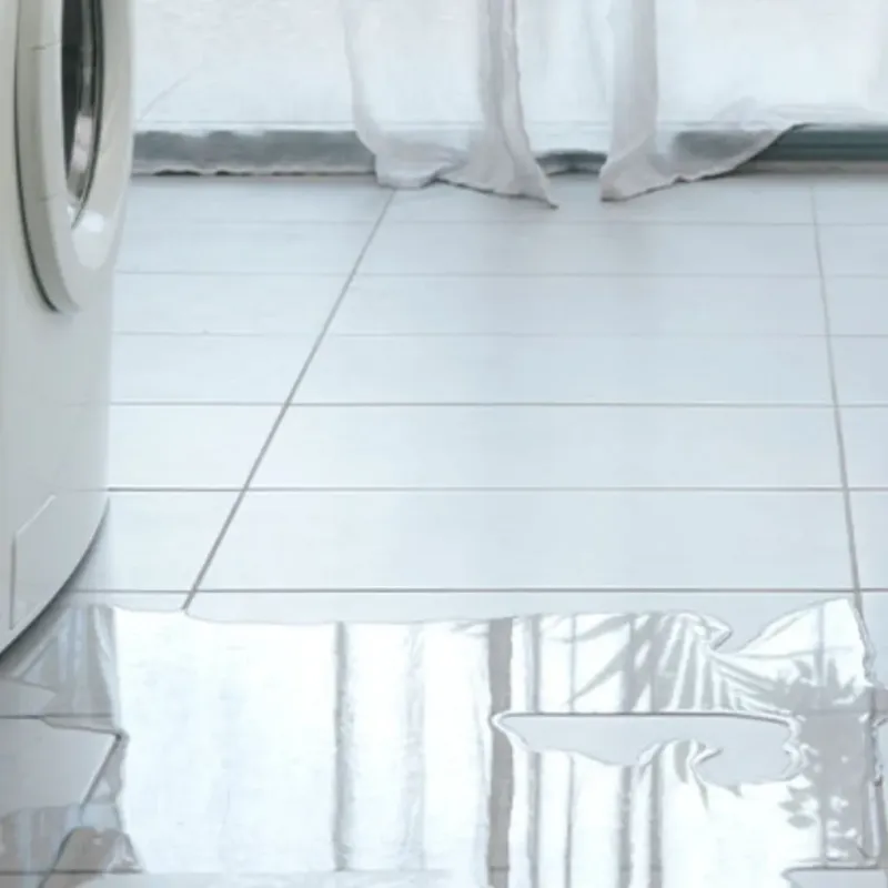 Appliance Leak Cleanup in Independence County, AR