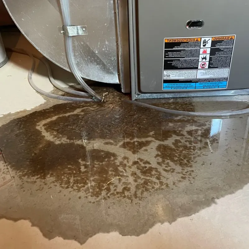 Pipe Burst and Leak Restoration in Independence County, AR