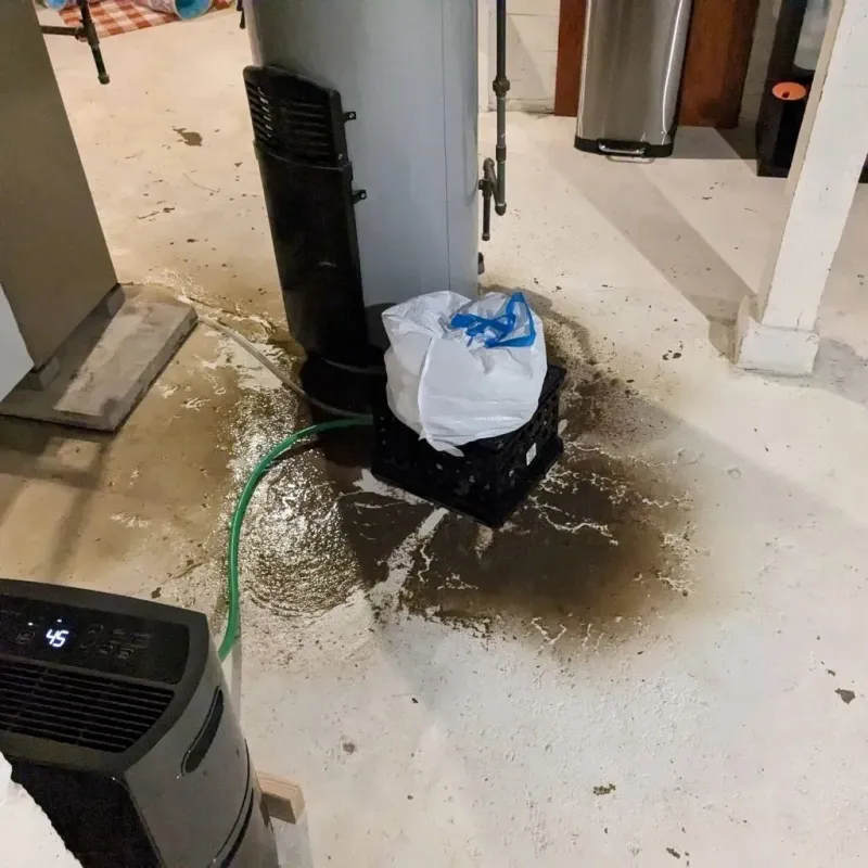 Sewage Backup Cleanup Service in Independence County, AR